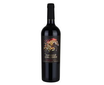 Selección Especial Malbec