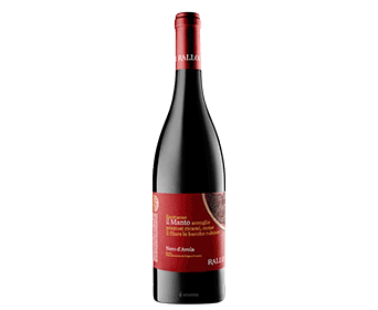 d\'Avola | d\'Avola Red Nero Nero Wine il de Malta Poggio Vigneti