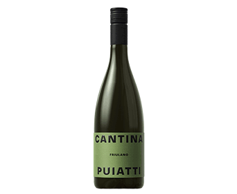 Cantina Puiatti Friulano Friuli DOP